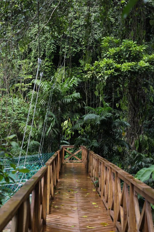 Jade Jungle Resort Teakettle Village Dış mekan fotoğraf