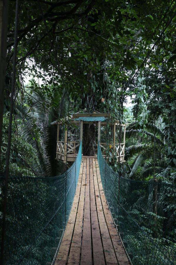 Jade Jungle Resort Teakettle Village Dış mekan fotoğraf